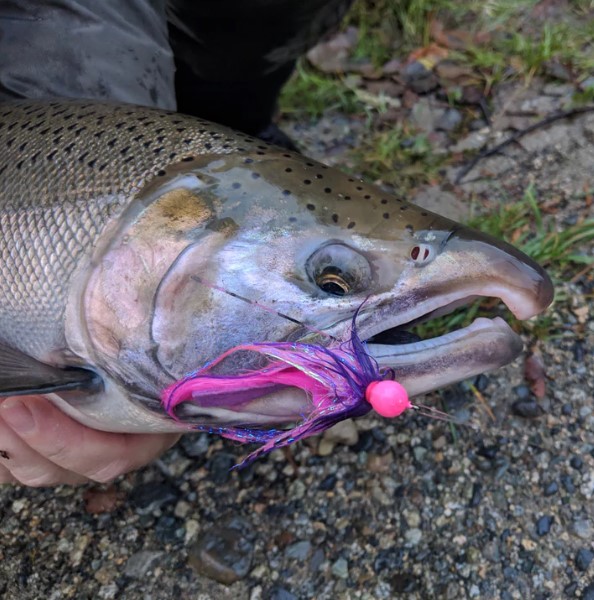 Fly Tying Clearance - Last Call!